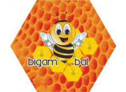 BİGA İLÇESİ BAL ÜRETİCİLERİ BİRLİĞİ TİCARİ İŞLETMESİ