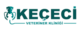 KEÇECİ VETERİNERLİK GIDA SANAYİ TİCARET LİMİTED ŞİRKETİ