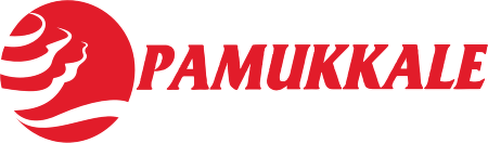 A PAMUKKALE TAŞIMACILIK TURİZM TİCARET LİMİTED ŞİRKETİ BİGA OTOGAR ŞUBESİ