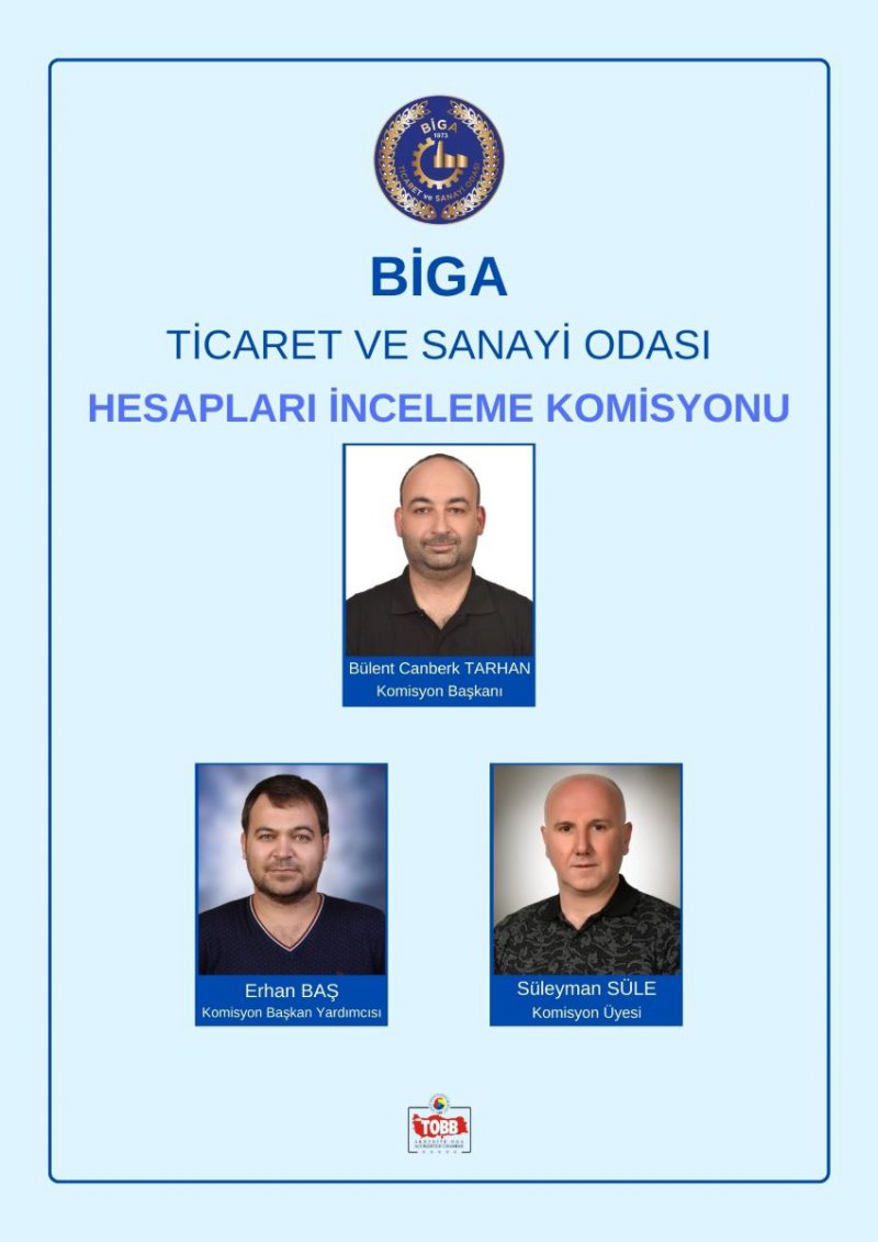 Hesapları İnceleme Komisyonu